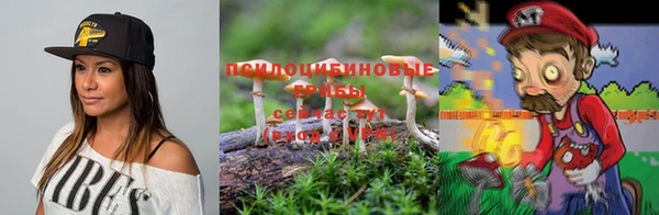 стафф Липки