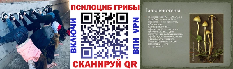 Купить где  Микунь  Псилоцибиновые грибы Psilocybe 